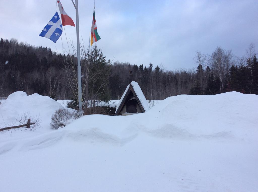 Camping Le 4 Chemins LʼAnse-Saint-Jean Eksteriør billede